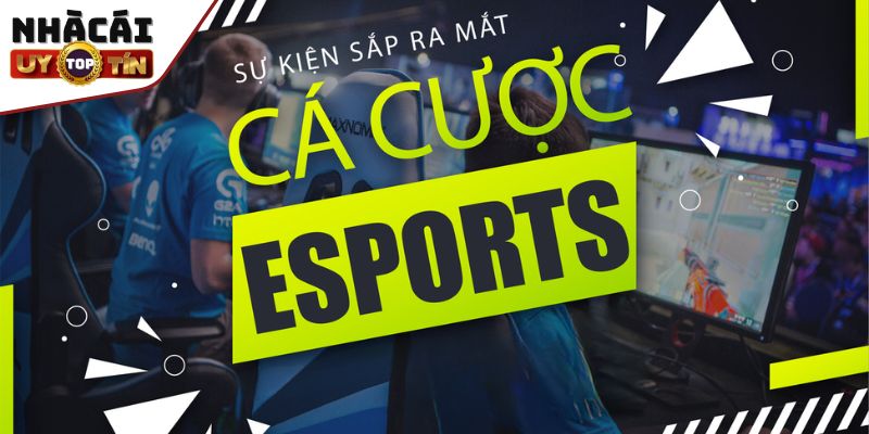 Sảnh Esport độc đáo