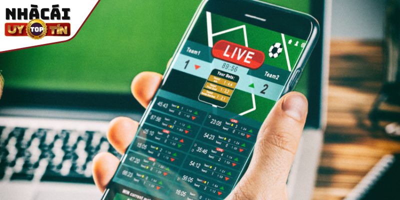 Trang cá cược bóng đá là gì?